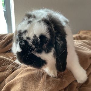 Meet your Posher, Stacia